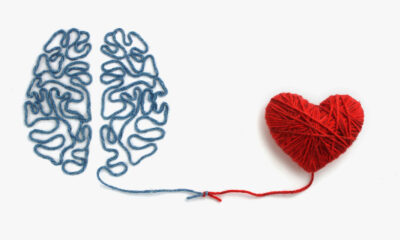 Duygusal Zeka’nın Ekip Çalışmasındaki Önemi