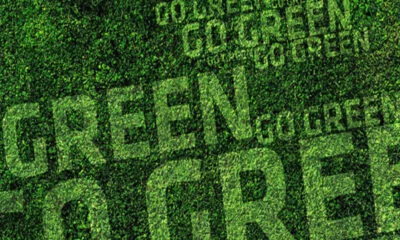 2030 Megatrendleri; Daha Yeşil Bir Dünya